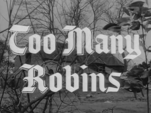 099 – Too Many Robins