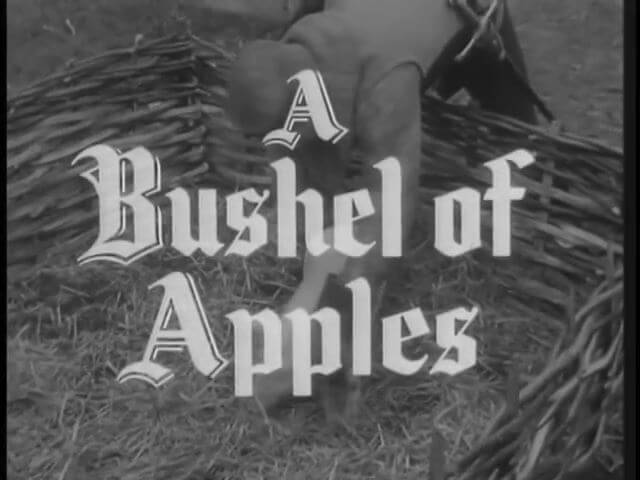 142 – A Bushell of Apples